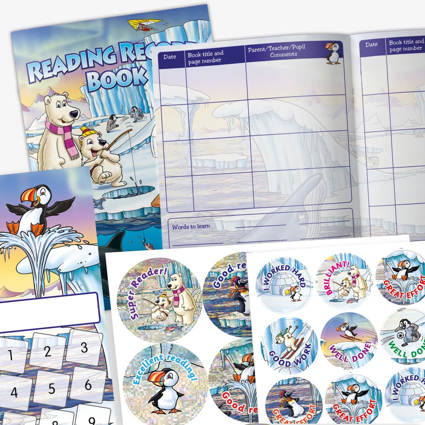 100 Reading Record Books Value Pack - Polar - A5