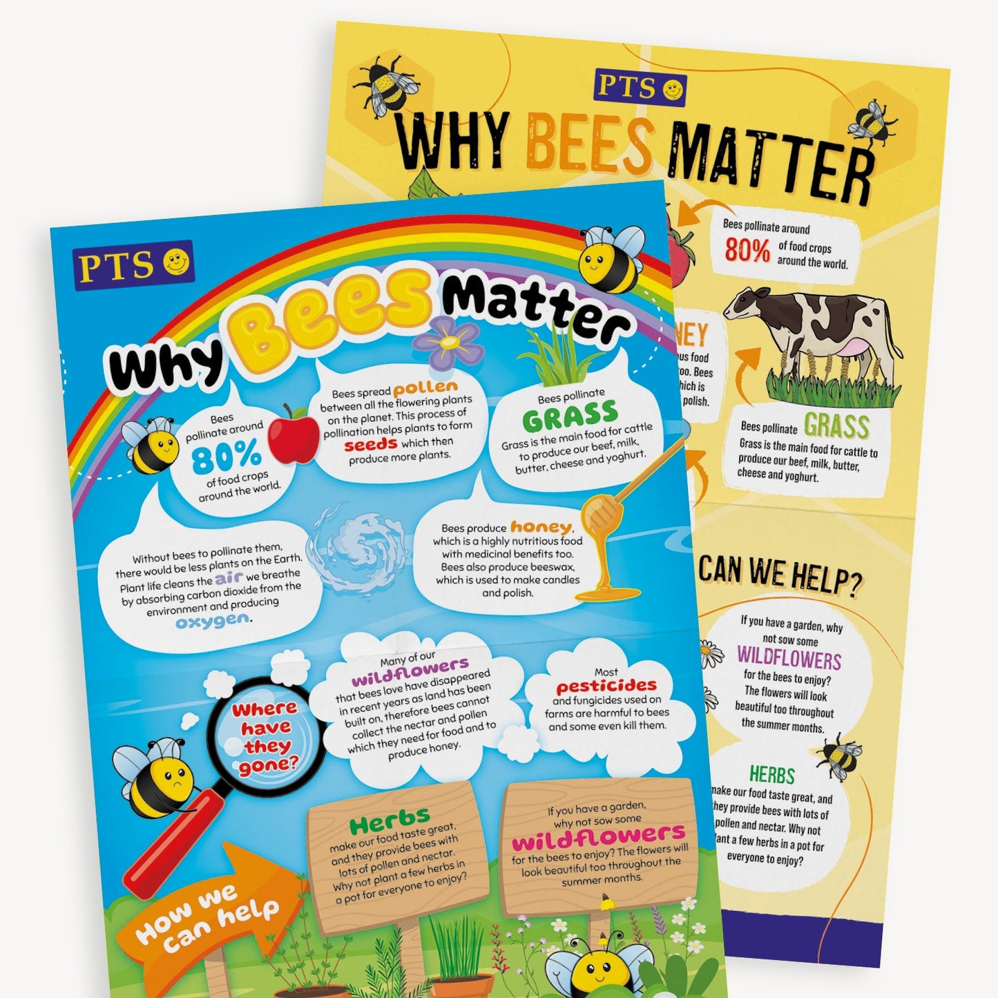 Why Bees Matter Poster - A2