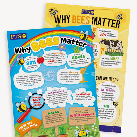 Why Bees Matter Poster - A2
